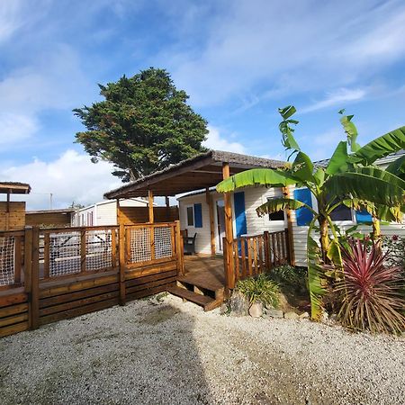 Camping L'Albatros Ла-Плен-сюр-Мер Екстер'єр фото